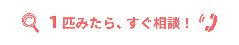 1匹みたら、すぐ相談